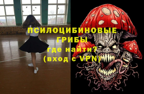 эйфоретик Арсеньев