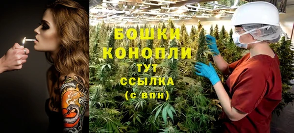 Альфа ПВП Аркадак