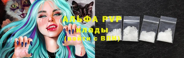 эйфоретик Арсеньев